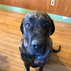 Meet your Posher, Chris